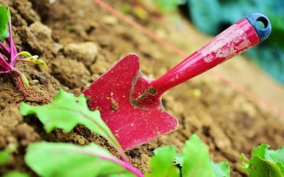 Children’s Gardening Tools